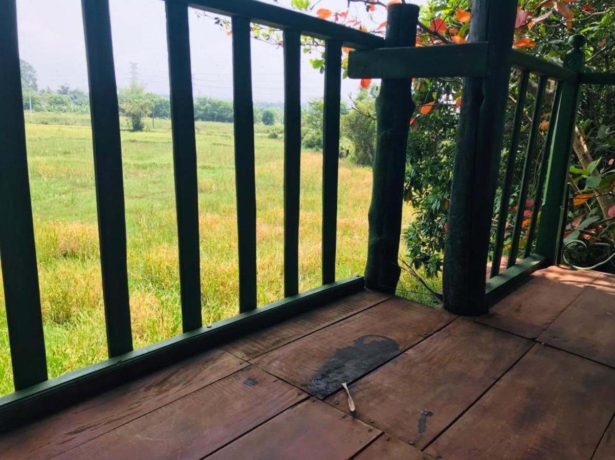 Airport Villa Kamatha -Foreign Booking Only Katunayaka Buitenkant foto